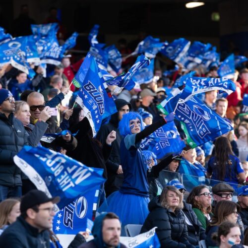 250531blueswaratahs 51 (1)