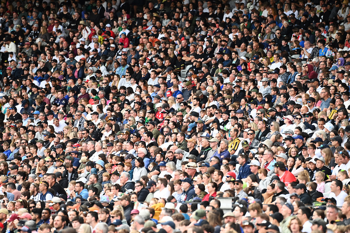 All whites v australia, 25 september 2022
