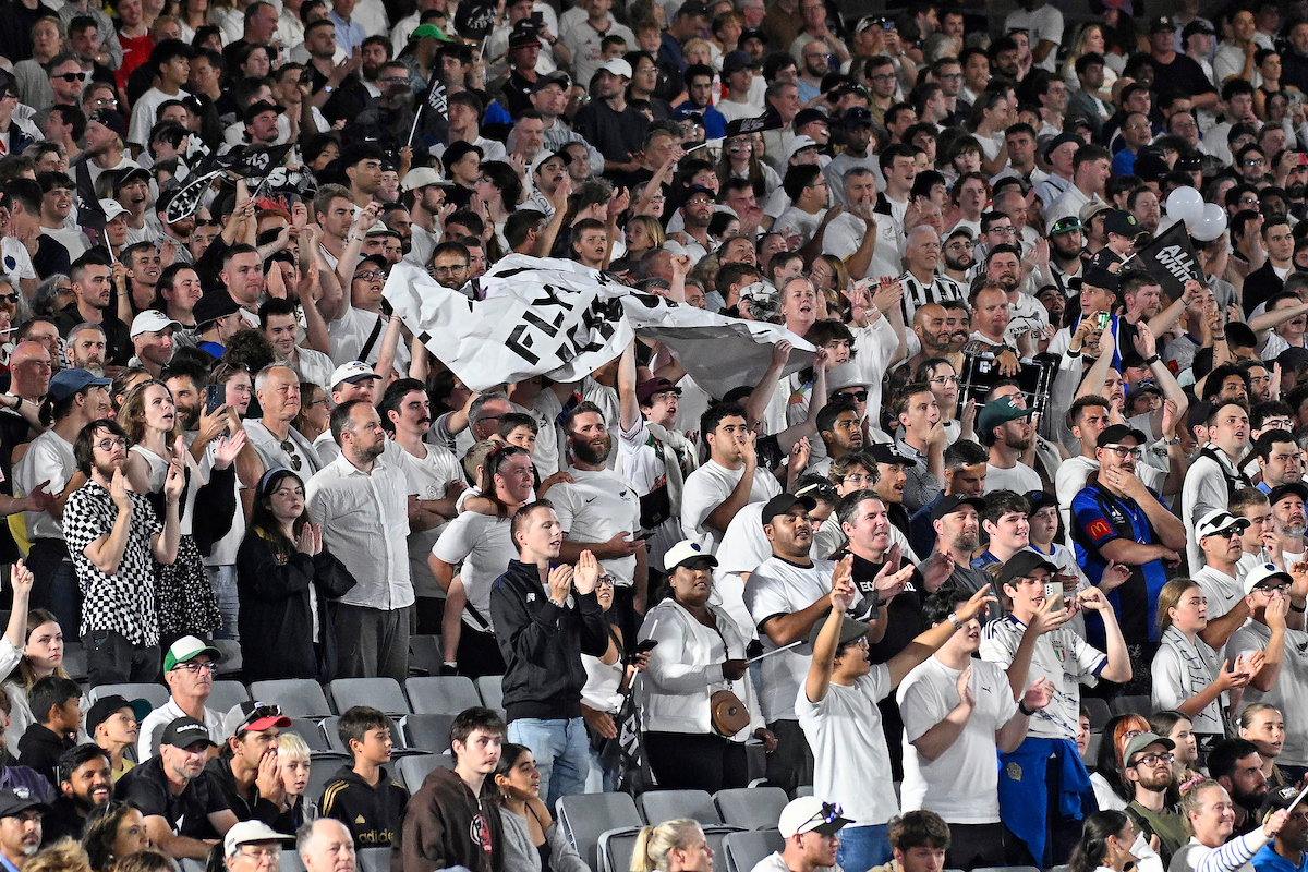 250324allwhitesncaledonia 131